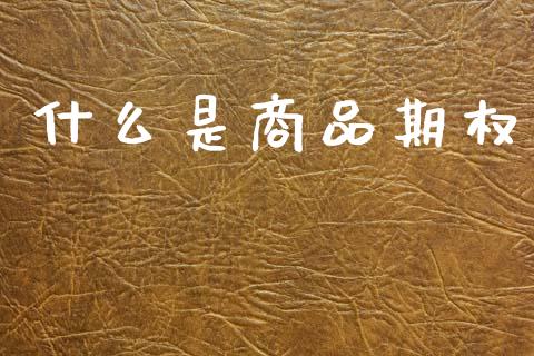 什么是商品期权_https://cj007.lansai.wang_债券资讯_第1张