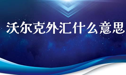 沃尔克外汇什么意思_https://cj007.lansai.wang_债券资讯_第1张