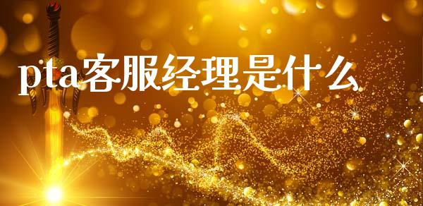 pta客服经理是什么_https://cj007.lansai.wang_外汇交易_第1张