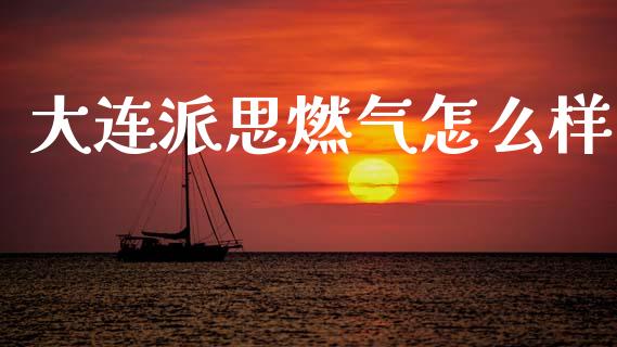 大连派思燃气怎么样_https://cj007.lansai.wang_债券资讯_第1张