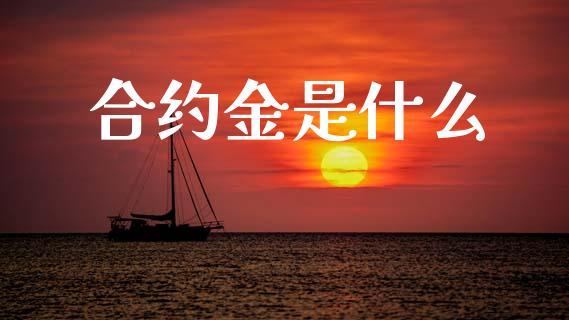 合约金是什么_https://cj007.lansai.wang_外汇交易_第1张