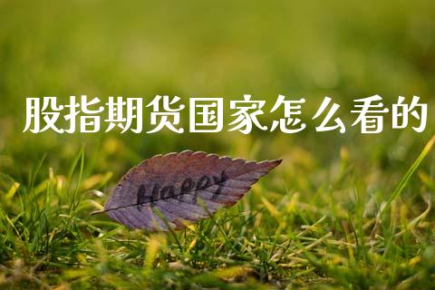 股指期货国家怎么看的_https://cj007.lansai.wang_金融监管_第1张