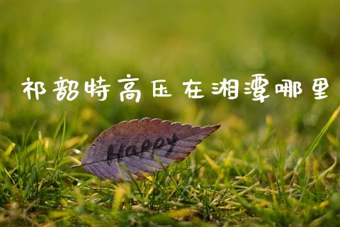 祁韶特高压在湘潭哪里_https://cj007.lansai.wang_外汇交易_第1张