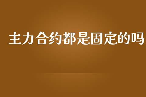 主力合约都是固定的吗_https://cj007.lansai.wang_财经新闻_第1张