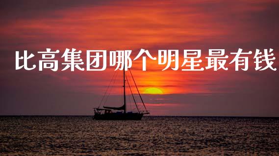 比高集团哪个明星最有钱_https://cj007.lansai.wang_金融监管_第1张