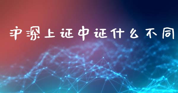 沪深上证中证什么不同_https://cj007.lansai.wang_外汇交易_第1张