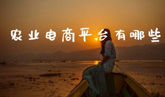 农业电商平台有哪些_https://cj007.lansai.wang_财经新闻_第1张