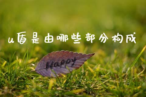 u盾是由哪些部分构成_https://cj007.lansai.wang_期货开户_第1张