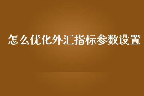 怎么优化外汇指标参数设置_https://cj007.lansai.wang_债券资讯_第1张