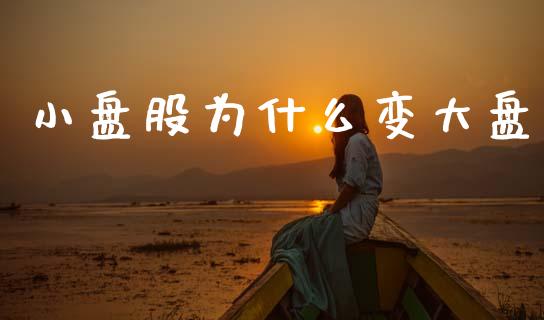 小盘股为什么变大盘_https://cj007.lansai.wang_期货开户_第1张
