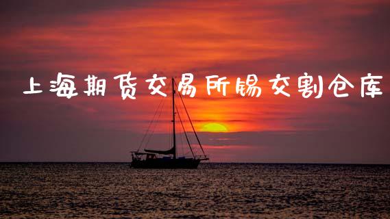 上海期货交易所锡交割仓库_https://cj007.lansai.wang_财经新闻_第1张
