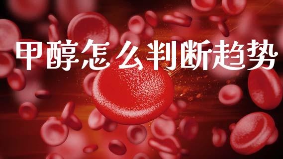 甲醇怎么判断趋势_https://cj007.lansai.wang_全球市场_第1张