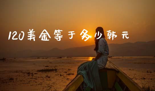120美金等于多少韩元_https://cj007.lansai.wang_全球市场_第1张