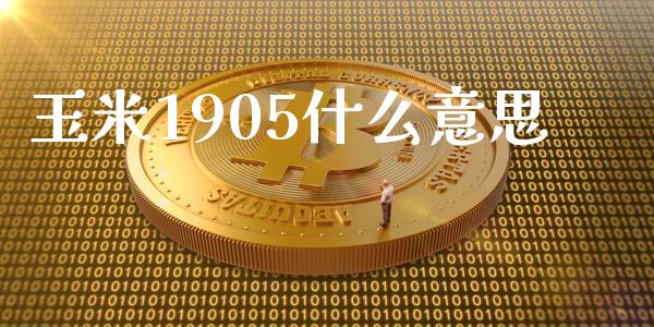 玉米1905什么意思_https://cj007.lansai.wang_期货开户_第1张