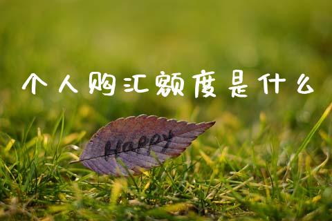 个人购汇额度是什么_https://cj007.lansai.wang_金融监管_第1张