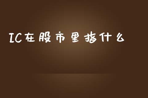 IC在股市里指什么_https://cj007.lansai.wang_外汇交易_第1张