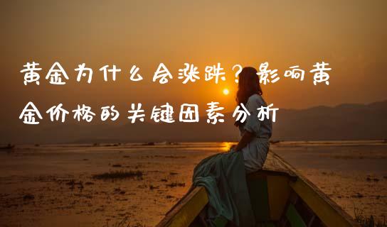 黄金为什么会涨跌？影响黄金价格的关键因素分析_https://cj007.lansai.wang_期货开户_第1张