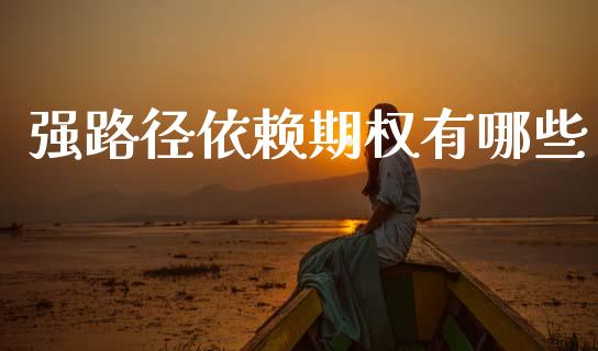 强路径依赖期权有哪些_https://cj007.lansai.wang_外汇交易_第1张