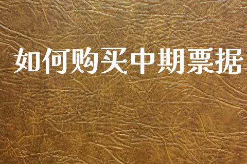 如何购买中期票据_https://cj007.lansai.wang_外汇交易_第1张