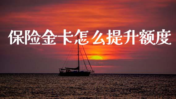 保险金卡怎么提升额度_https://cj007.lansai.wang_外汇交易_第1张