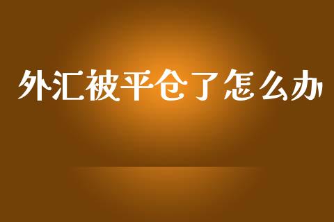 外汇被平仓了怎么办_https://cj007.lansai.wang_全球市场_第1张
