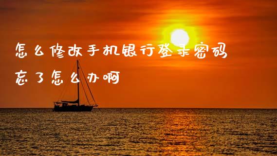 怎么修改手机银行登录密码忘了怎么办啊_https://cj007.lansai.wang_全球市场_第1张