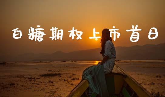 白糖期权上市首日_https://cj007.lansai.wang_财经新闻_第1张