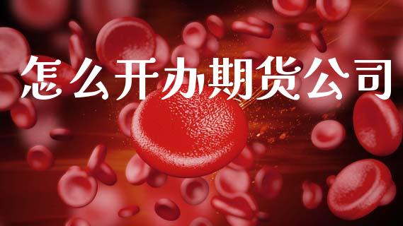怎么开办期货公司_https://cj007.lansai.wang_外汇交易_第1张
