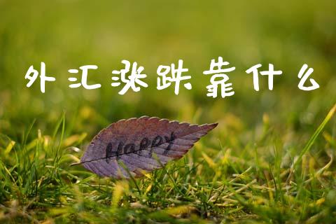 外汇涨跌靠什么_https://cj007.lansai.wang_期货开户_第1张
