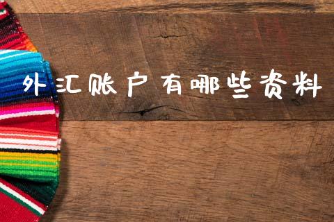 外汇账户有哪些资料_https://cj007.lansai.wang_财经新闻_第1张