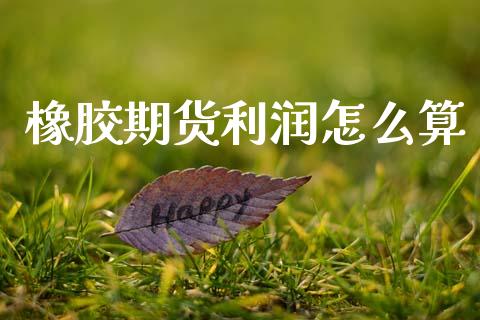 橡胶期货利润怎么算_全球市场_第1张_期货开户_金融监管_外汇交易_债券资讯_全球市场_财经新闻 橡胶期货利润怎么算_https://cj007.lansai.wang_全球市场_第1张