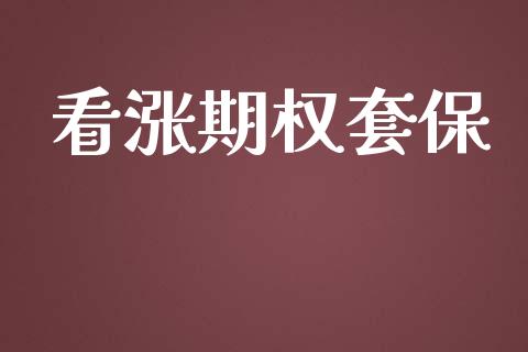 看涨期权套保_https://cj007.lansai.wang_期货开户_第1张
