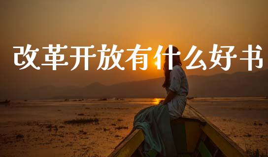 改革开放有什么好书_https://cj007.lansai.wang_债券资讯_第1张