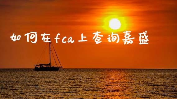 如何在fca上查询嘉盛_https://cj007.lansai.wang_全球市场_第1张