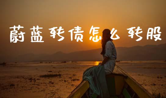 蔚蓝转债怎么转股_https://cj007.lansai.wang_期货开户_第1张