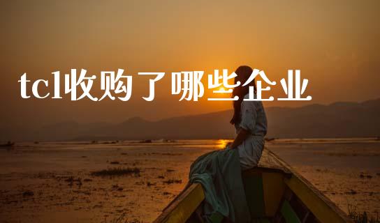tcl收购了哪些企业_https://cj007.lansai.wang_全球市场_第1张