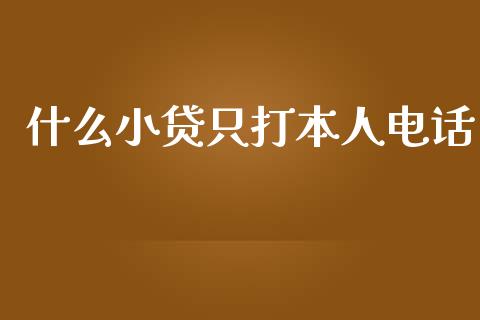 什么小贷只打本人电话_https://cj007.lansai.wang_债券资讯_第1张
