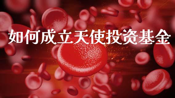 如何成立天使投资基金_https://cj007.lansai.wang_期货开户_第1张