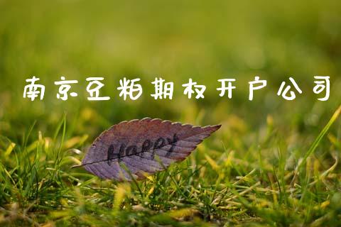 南京豆粕期权开户公司_https://cj007.lansai.wang_金融监管_第1张