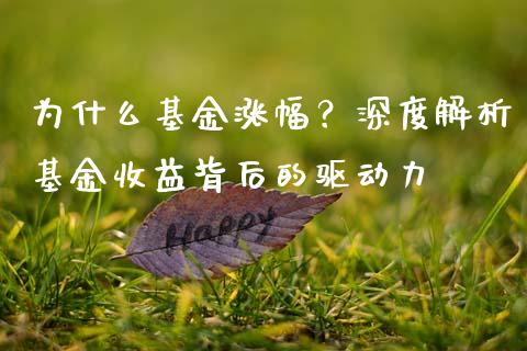 为什么基金涨幅？深度解析基金收益背后的驱动力_https://cj007.lansai.wang_期货开户_第1张