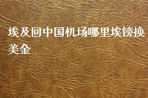 埃及回中国机场哪里埃镑换美金_https://cj007.lansai.wang_期货开户_第1张
