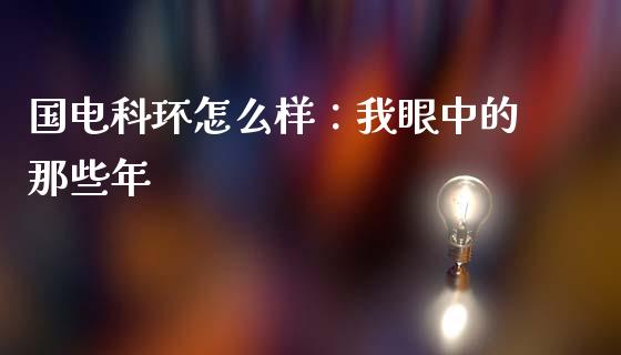 国电科环怎么样：我眼中的那些年_https://cj007.lansai.wang_金融监管_第1张