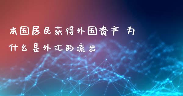 本国居民获得外国资产 为什么是外汇的流出_https://cj007.lansai.wang_财经新闻_第1张