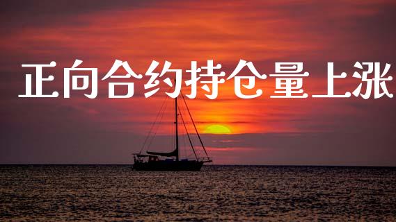 正向合约持仓量上涨_https://cj007.lansai.wang_财经新闻_第1张