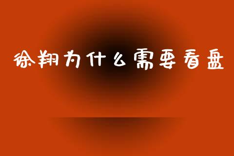 徐翔为什么需要看盘_https://cj007.lansai.wang_债券资讯_第1张