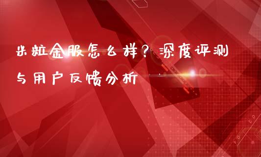 米粒金服怎么样？深度评测与用户反馈分析_https://cj007.lansai.wang_期货开户_第1张