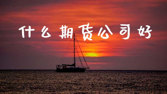什么期货公司好_https://cj007.lansai.wang_债券资讯_第1张