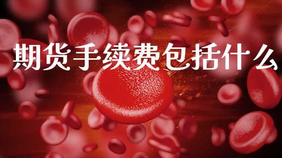期货手续费包括什么_https://cj007.lansai.wang_财经新闻_第1张