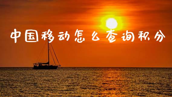 中国移动怎么查询积分_https://cj007.lansai.wang_财经新闻_第1张