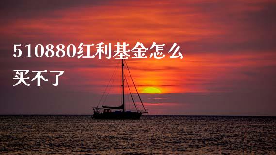510880红利基金怎么买不了_https://cj007.lansai.wang_期货开户_第1张